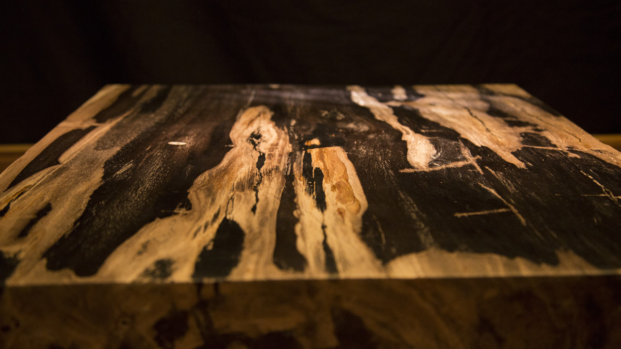 Стол из окаменевшего дерева. Обеденный стол. Кофейный стол - фото 1 - id-p59499415