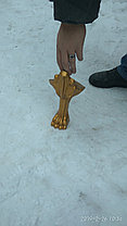 Ножки Даллас под ванну. Львиные лапы. (золото / хром), фото 3