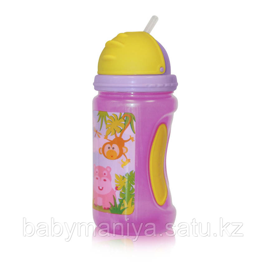 Бутылочка для кормления Baby Care Bertoni 350 мл