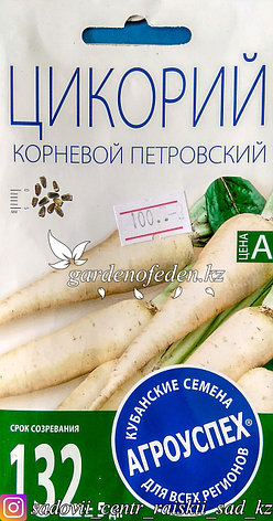 Семена пакетированные Агроуспех. Цикорий "Корневой Петровский", фото 2