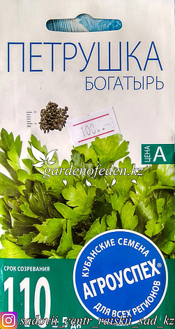 Семена пакетированные Агроуспех. Петрушка "Богатырь", фото 2