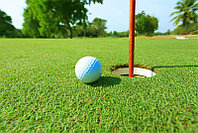 Газон для гольфа 22мм, фото 1