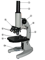 Микроскоп XSP-01 В с подсветкой (деревянный кейс)