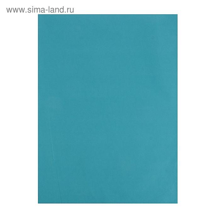 Бумага цветная, тишью (шёлковая), 510 х 760 мм, Sadipal, 1 лист, 17 г/м2, голубой