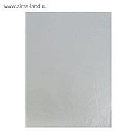 Бумага цветная, тишью (шёлковая), 510 х 760 мм, Sadipal, 1 лист, 17 г/м2, серебристый