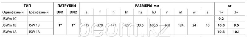 Насосная станция Pedrollo СН-1- JSWM/1BX -40-220-К-С-20CL, бак 20л - фото 4 - id-p61098648