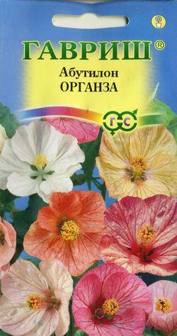 Абутилон Органза смесь 10шт