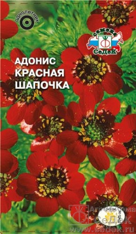 Адонис Красная шапочка 0,1-1гр