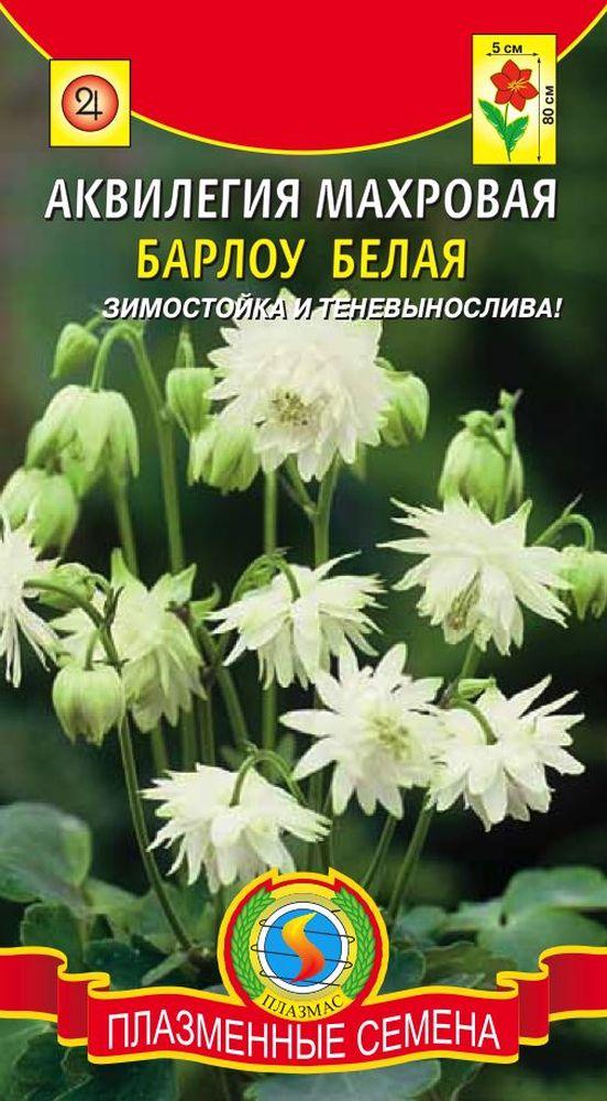 Аквилегия Махровая Барлоу белая 9шт