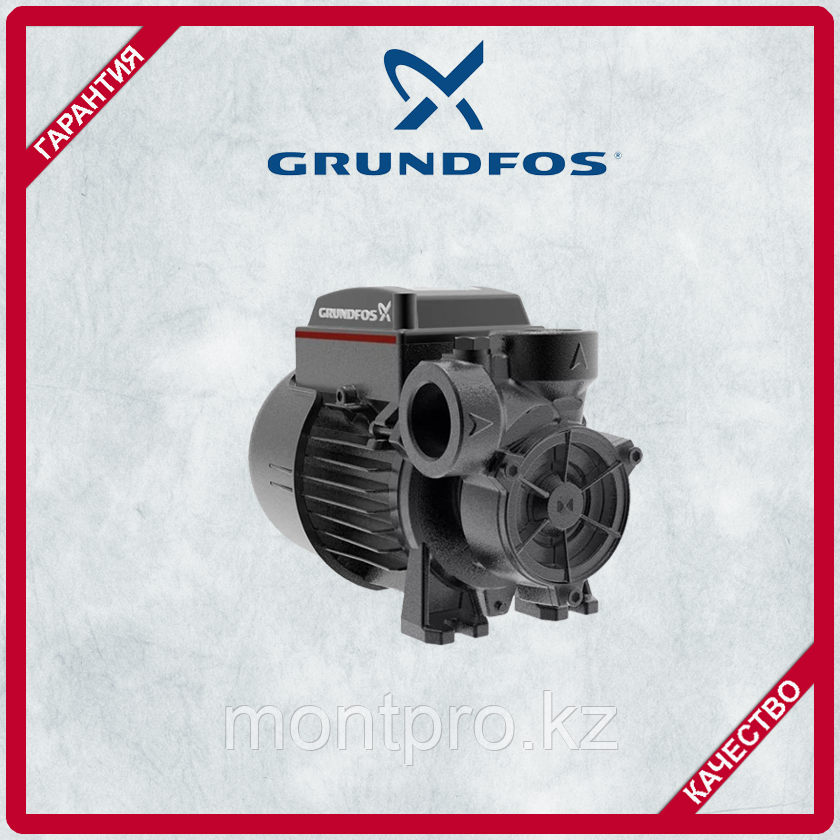 Насос вихревый Grundfos PF 1-30, фото 1