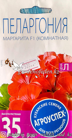 Семена пакетированные Агроуспех. Пеларгония "Маргарита F1", фото 2