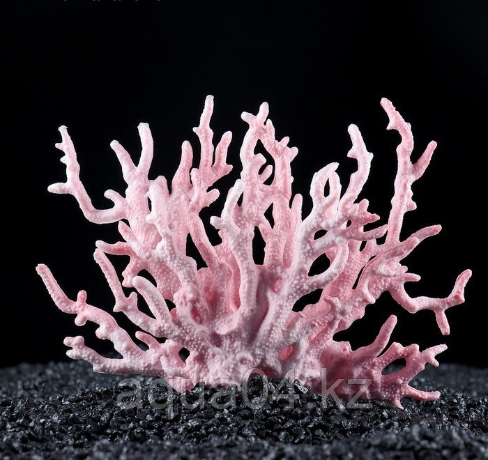 Коралл розовый малый