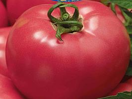 Семена томат Изящный F1 500 шт
