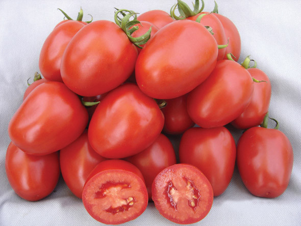 Семена томат Рио Гранде (1 уп - 100 гр)