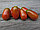 Семена томат Эльф F1 1000 шт, фото 2