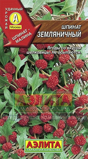 Шпинат земляничный 0,05гр
