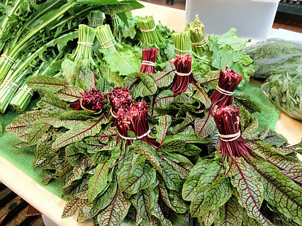 Порно слайд-шоу онлайн