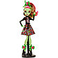 Кукла Венера Макфлайтрап Monster High (Монстер Хай) из серии Мрак и Цветение, фото 5