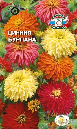 Цинния Бурпана смесь 0,5гр