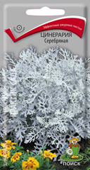 Цинерария(Крестовник) Серебряная 0,2гр