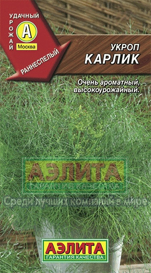 Укроп Карлик 2-3гр