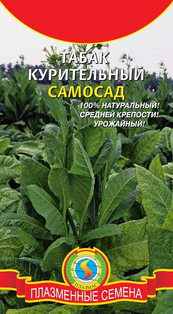 Семена Табак курительный Самосад 300шт