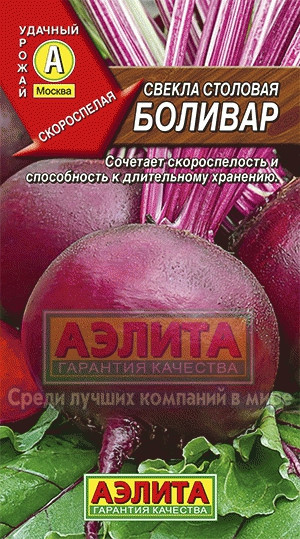 Свекла Боливар столовая 3гр