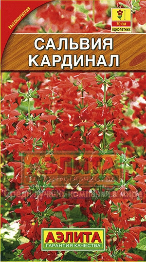 Сальвия Кардинал ярко-красная 0,1гр