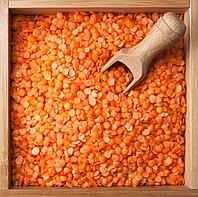 Мелкая чечевица красная 350 тонн