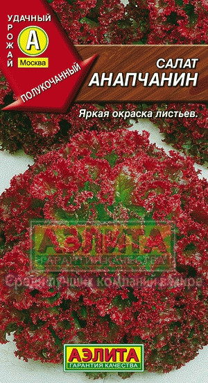 Салат Анапчанин 0,5гр