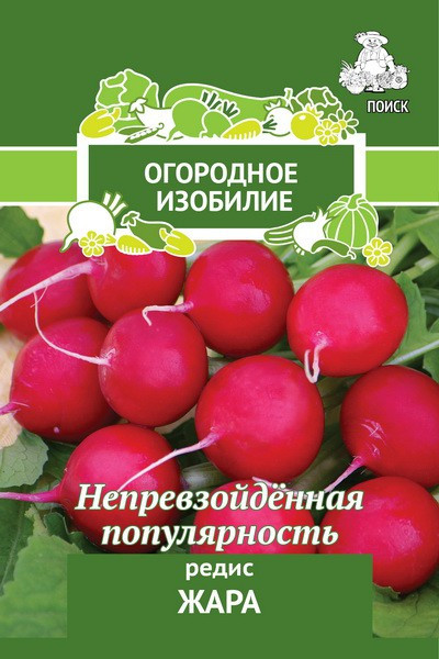 Редис Егорка 1гр