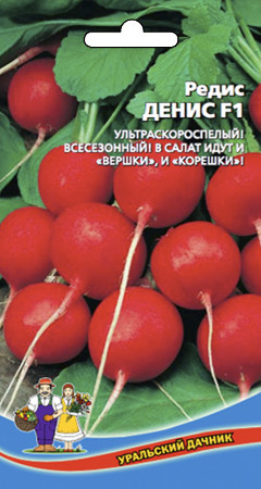 Редис Денис F1 2гр