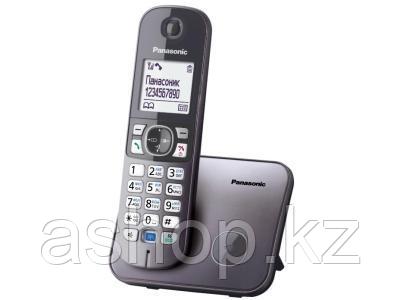 Радиотелефон DECT Panasonic KX-TG6811 CAM, 120 контактов, АОН: Есть, Ресурс: Время зарядки - до 7 ч; емкость -