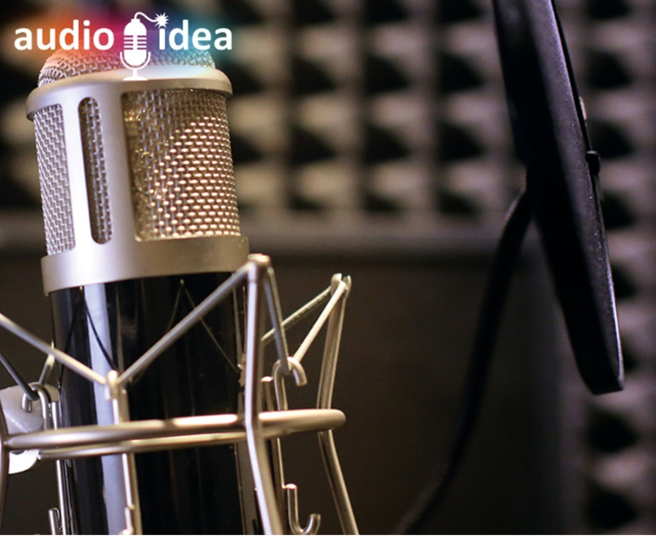 Запись аудио-рекламы, фото 1