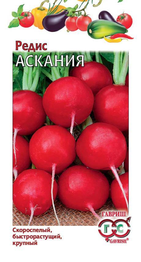 Редис Аскания 1гр