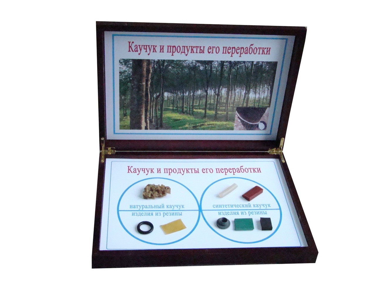 Коллекция "Каучук и продукты его переработки" (карт.коробка)