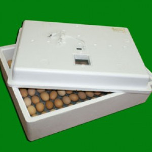 Инкубатор "Несушка" БИ-1 на 104 яиц с автоматическим переворотом. Алматы - фото 1 - id-p4558973