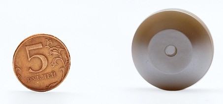 Размер Мастера осанки сопоставим с пятирублевой монетой