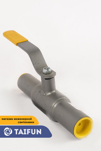 Үлкен шарлары бар транни