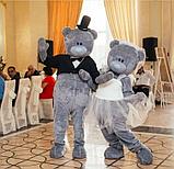 Мишки Тедди на свадьбу в Павлодаре, фото 4