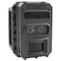 Фотоловушка Reconyx UltraFire XR6, фото 1