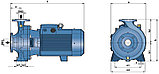 Центробежный насос Pedrollo F40/160B (3кВт | 380В | от 0 до 36 м3/час |от 20 до 32 м Напор), фото 6