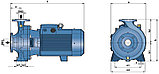 Центробежный многоступенчатый насос Pedrollo F 32/160A, фото 5