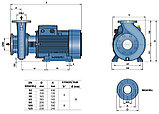 Центробежный многоступенчатый насос Pedrollo F 32/160B, фото 4