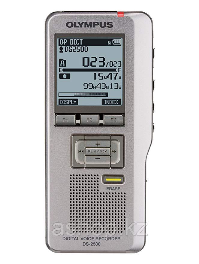 Диктофон Olympus DS-2500, 2 Gb, Время записи: До 303 часов, Матричный, Серый, (V741030BU000)