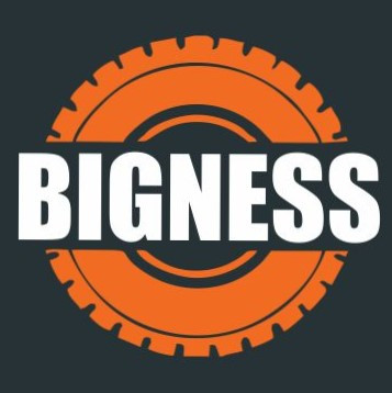 bigness.kz