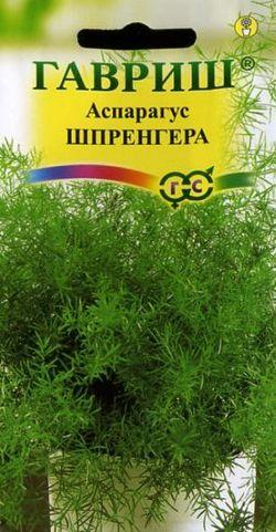 Аспарагус Шпренгера 5шт