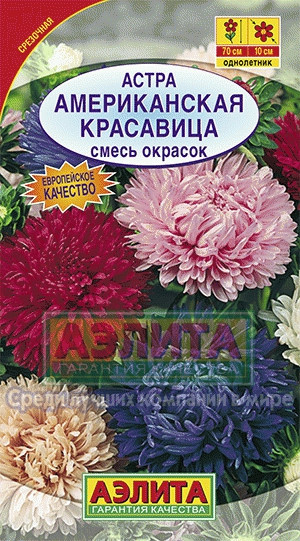 Астра Американская красавица смесь 0,2-0,3гр