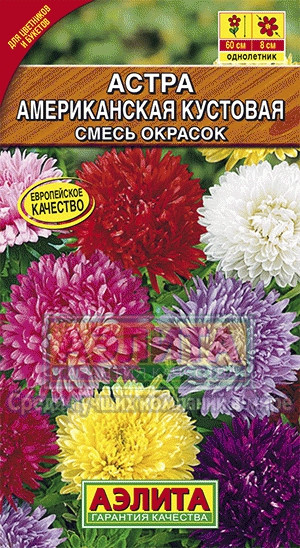 Астра Американская кустовая смесь 0,2-0,3гр