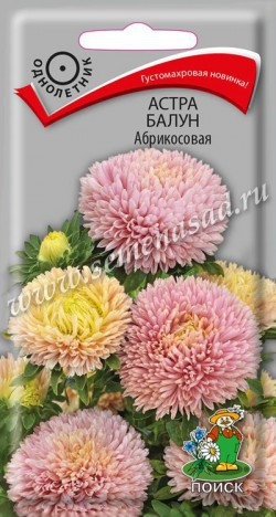 Астра Балун Абрикосовая 0,1гр